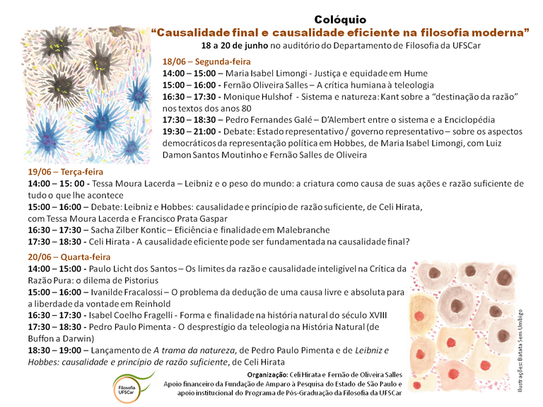 Causalidade final e causalidade eficiente na filosofia moderna